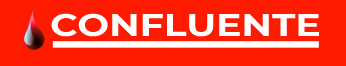 Confluente - Partener