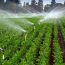 Principalele beneficii ale sistemelor de irigaţii pentru grădini
