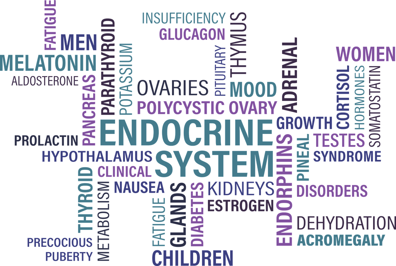 Glanda tiroida la femei – simptome