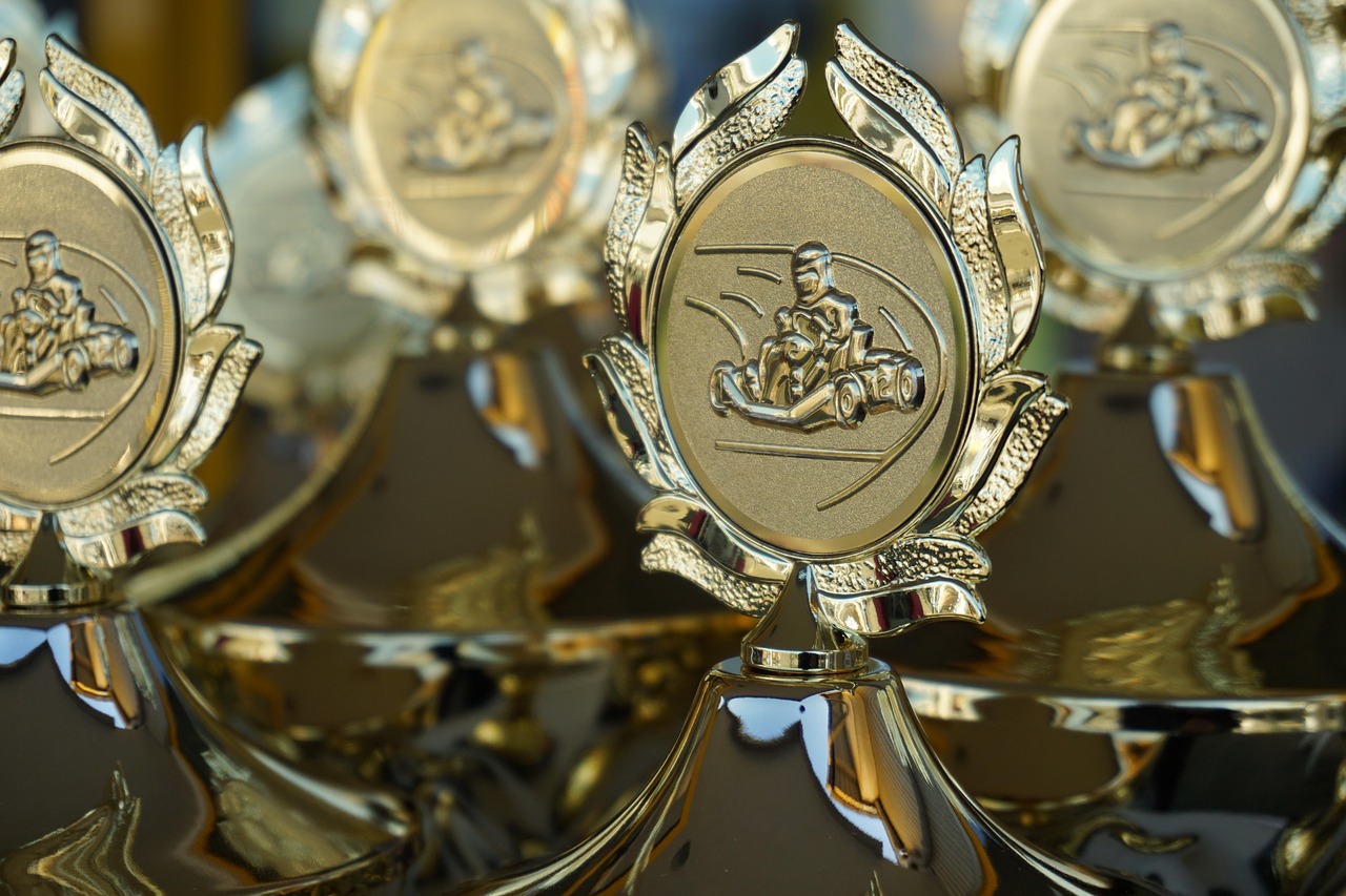 Ce premii a castigat Meryl Streep?